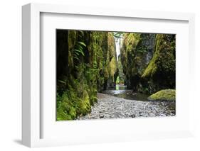 Oneonta Creek in Oneonta Gorge, Columbia River National Scenic Area, Oregon, United States-Craig Tuttle-Framed Photographic Print