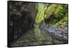 Oneonta Creek in Oneonta Gorge, Columbia River National Scenic Area, Oregon-Craig Tuttle-Framed Stretched Canvas