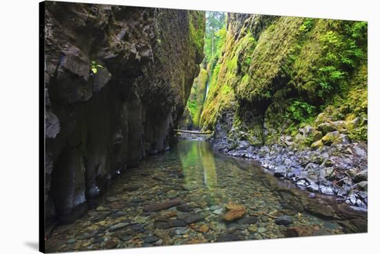 Oneonta Creek in Oneonta Gorge, Columbia River National Scenic Area, Oregon-Craig Tuttle-Stretched Canvas