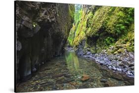 Oneonta Creek in Oneonta Gorge, Columbia River National Scenic Area, Oregon-Craig Tuttle-Stretched Canvas