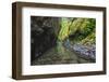 Oneonta Creek in Oneonta Gorge, Columbia River National Scenic Area, Oregon-Craig Tuttle-Framed Photographic Print