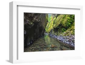 Oneonta Creek in Oneonta Gorge, Columbia River National Scenic Area, Oregon-Craig Tuttle-Framed Photographic Print