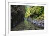 Oneonta Creek in Oneonta Gorge, Columbia River National Scenic Area, Oregon-Craig Tuttle-Framed Photographic Print