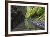 Oneonta Creek in Oneonta Gorge, Columbia River National Scenic Area, Oregon-Craig Tuttle-Framed Photographic Print