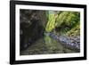 Oneonta Creek in Oneonta Gorge, Columbia River National Scenic Area, Oregon-Craig Tuttle-Framed Photographic Print