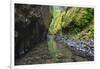 Oneonta Creek in Oneonta Gorge, Columbia River National Scenic Area, Oregon-Craig Tuttle-Framed Photographic Print