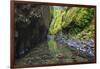 Oneonta Creek in Oneonta Gorge, Columbia River National Scenic Area, Oregon-Craig Tuttle-Framed Photographic Print