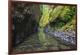 Oneonta Creek in Oneonta Gorge, Columbia River National Scenic Area, Oregon-Craig Tuttle-Framed Photographic Print