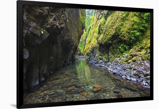 Oneonta Creek in Oneonta Gorge, Columbia River National Scenic Area, Oregon-Craig Tuttle-Framed Photographic Print