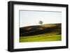 OneTree Hill-Richard Wong-Framed Photographic Print