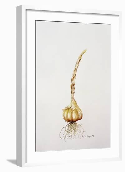 Onion, 1998-Alison Cooper-Framed Giclee Print