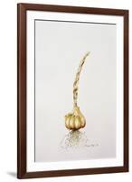 Onion, 1998-Alison Cooper-Framed Giclee Print