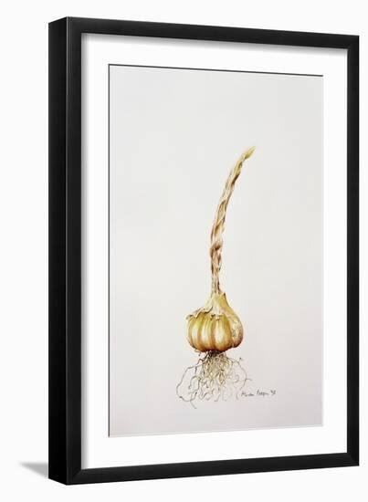 Onion, 1998-Alison Cooper-Framed Giclee Print