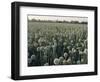 Onion Fields in Gujarat State, India, Asia-John Henry Claude Wilson-Framed Photographic Print