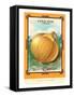 Onion Seed Packet-null-Framed Stretched Canvas