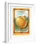 Onion Seed Packet-null-Framed Art Print