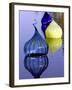 Onion Shaped Pieces of Blown Glass in Miami, Florida, December 3, 2005-Lynne Sladky-Framed Photographic Print