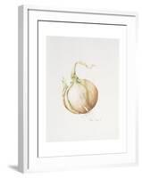Onion Study, 1993-Alison Cooper-Framed Giclee Print