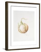 Onion Study, 1993-Alison Cooper-Framed Giclee Print