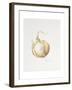 Onion Study, 1993-Alison Cooper-Framed Giclee Print