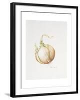 Onion Study, 1993-Alison Cooper-Framed Giclee Print