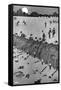 Onion-Whittling by Heath Robinson-null-Framed Stretched Canvas