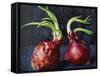 Onions 2021 (oil)-Tilly Willis-Framed Stretched Canvas