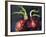 Onions 2021 (oil)-Tilly Willis-Framed Giclee Print