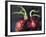 Onions 2021 (oil)-Tilly Willis-Framed Giclee Print