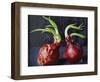 Onions 2021 (oil)-Tilly Willis-Framed Giclee Print