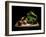 Onions And Lettuce-Antonio Zoccarato-Framed Giclee Print