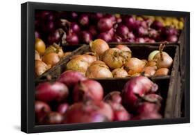 Onions and Shallots Fresh Produce Photo Poster Print-null-Framed Poster