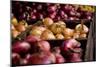 Onions and Shallots Fresh Produce Photo Poster Print-null-Mounted Poster