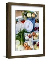 Onions being sold at a farmers market, Santa Fe, New Mexico, USA.-Julien McRoberts-Framed Photographic Print