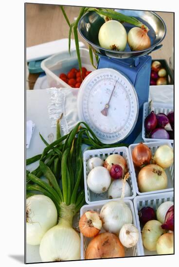 Onions being sold at a farmers market, Santa Fe, New Mexico, USA.-Julien McRoberts-Mounted Premium Photographic Print