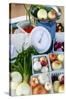 Onions being sold at a farmers market, Santa Fe, New Mexico, USA.-Julien McRoberts-Stretched Canvas