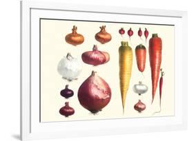 Onions Carrots and Turnips-Philippe-Victoire Leveque de Vilmorin-Framed Premium Giclee Print