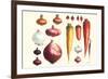 Onions Carrots and Turnips-Philippe-Victoire Leveque de Vilmorin-Framed Premium Giclee Print