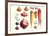 Onions Carrots and Turnips-Philippe-Victoire Leveque de Vilmorin-Framed Premium Giclee Print