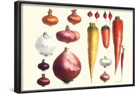 Onions Carrots and Turnips-Philippe-Victoire Leveque de Vilmorin-Framed Art Print