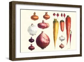 Onions Carrots and Turnips-Philippe-Victoire Leveque de Vilmorin-Framed Art Print