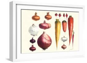 Onions Carrots and Turnips-Philippe-Victoire Leveque de Vilmorin-Framed Art Print