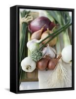 Onions, Chives and Garlic Chives-null-Framed Stretched Canvas