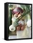Onions, Chives and Garlic Chives-null-Framed Stretched Canvas