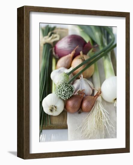 Onions, Chives and Garlic Chives-null-Framed Photographic Print