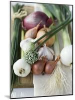 Onions, Chives and Garlic Chives-null-Mounted Photographic Print