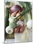 Onions, Chives and Garlic Chives-null-Mounted Photographic Print