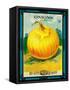 Onions Seed Packet-Lantern Press-Framed Stretched Canvas