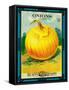 Onions Seed Packet-Lantern Press-Framed Stretched Canvas