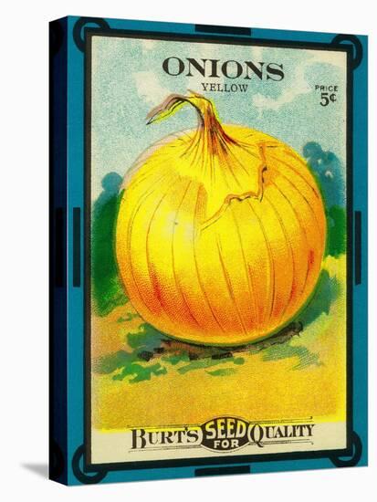 Onions Seed Packet-Lantern Press-Stretched Canvas